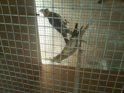 2013-12-21 15.28.33.jpg