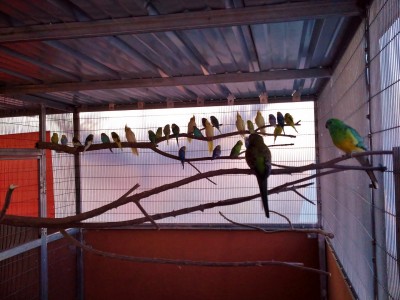 Photo028 (Large).jpg