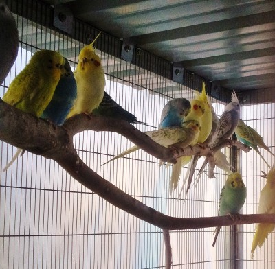 Photo004 (Large).jpg