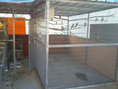 Photo018 (Large).jpg