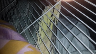 20140117_183852 (1).jpg