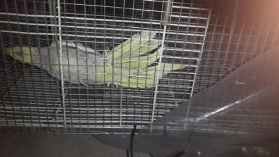 20140117_183952 (1).jpg