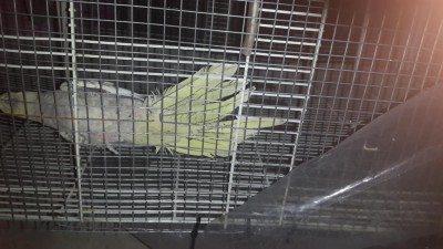 20140117_183948 (1).jpg