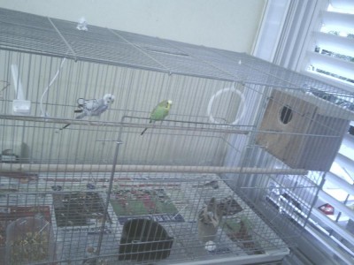 הנה זה ממש על החלון צד ימין