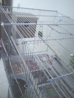 וזה בצד השני צד שמאל