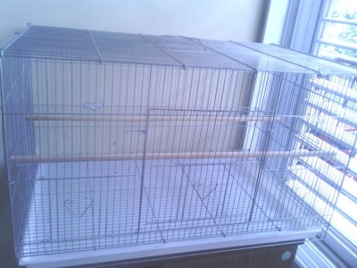 זה כל הכלוב