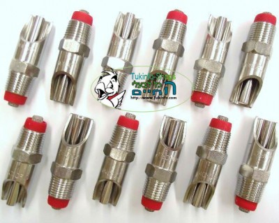 דיזות - Copy.JPG