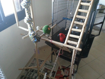 מגרש משחקים