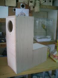 זו תוצרת בית ההטלה שיש לי עכשיו