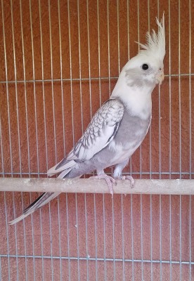 Photo008 (Medium).jpg