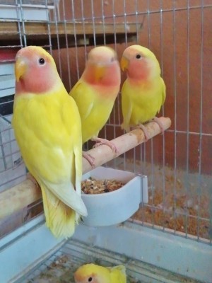 Photo012 (Large).jpg