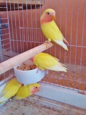 Photo002 (Large).jpg