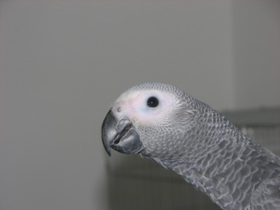 1.JPG
