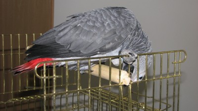 5.JPG