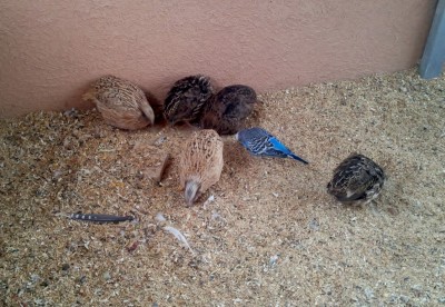 Photo004 (Medium).jpg