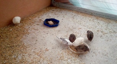 Photo007 (Medium).jpg