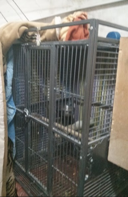 (זו תמונה יחסית ישנה ולכן אין שם את הפלטה)