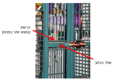 הנה תמונה להמחשה