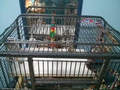 הפלטה הגדולה