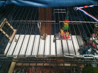 הפלטה הקטנה