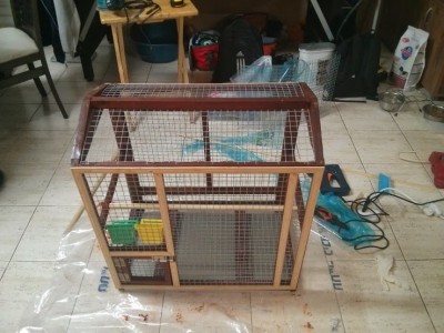 הכלוב אחרי ההתקדמות