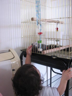 נו? המקור בר חזק?