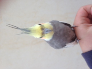 תמונה 4 (1).JPG