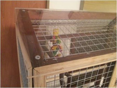 הגג, עשוי מפרספקט  שקוף