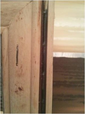 הנה הרשת שנמצאת מאחורי המסגרת