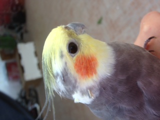 תמונה 3 (2).JPG