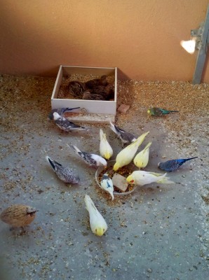 Photo021 (Large).jpg