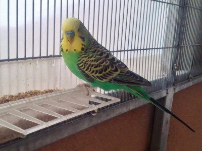 Photo001 (Large).jpg