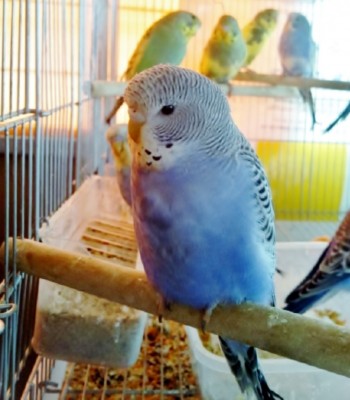 Photo038 (Large).jpg