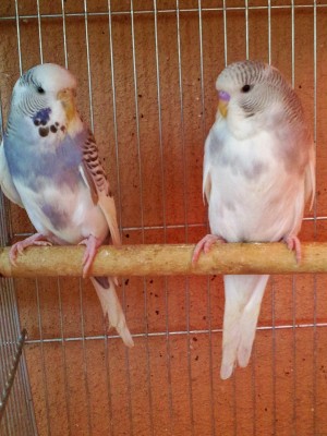 Photo040 (Large).jpg