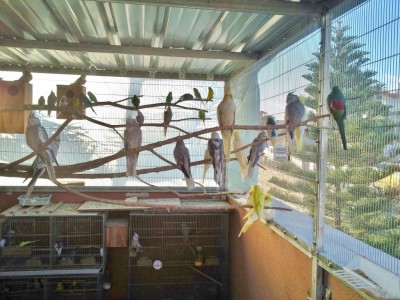 Photo001 (Medium).jpg