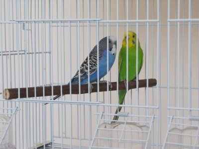 IMG11111111_4129.jpg