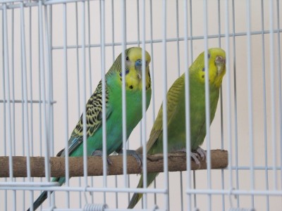 IMG11111111_4131.jpg