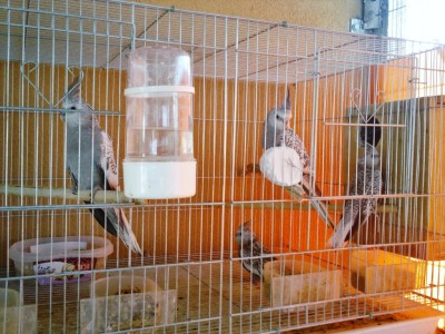Photo023 (Medium).jpg