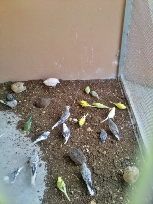 Photo001 (Medium).jpg