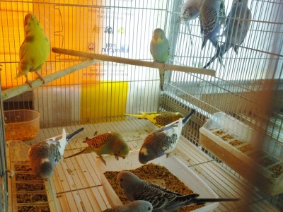 Photo031 (4) (Medium).jpg