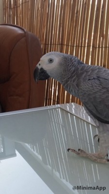 תמונת פרופיל לתוכיבוק