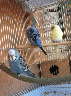 IMG_1350 (Medium).JPG