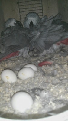 היום לפני כמה דקות