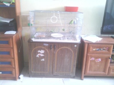 התוכונים בין השידה למזנון