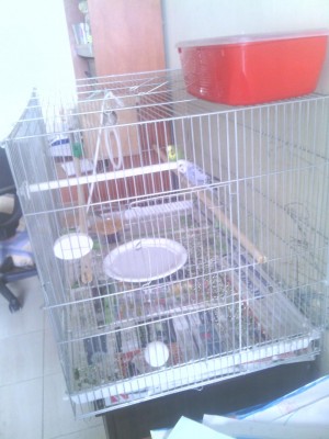 מהצד של המזנון איפה שהטלוויזיה