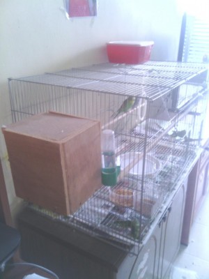 מהצד של השידה איפה שהתא