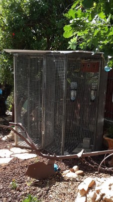 וולייר תוכונים 1.jpg