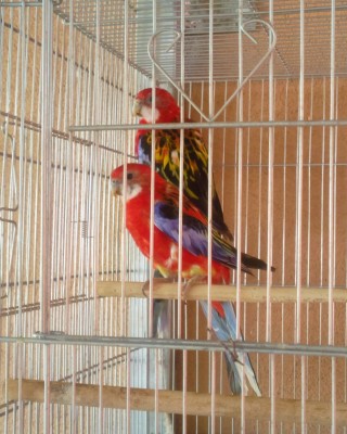 Photo027 (Large).jpg