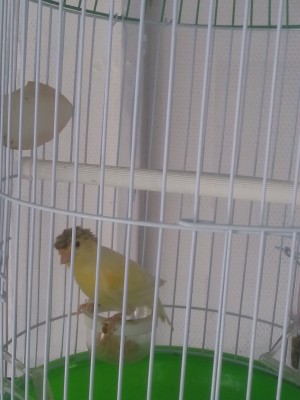 20140607_125646 - עותק.jpg