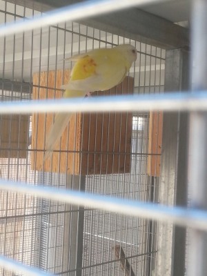 20140607_125615 - עותק.jpg